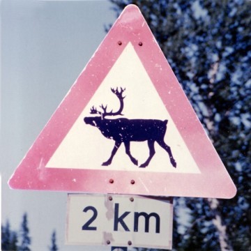 Original image
