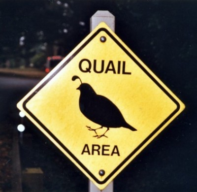 Original image