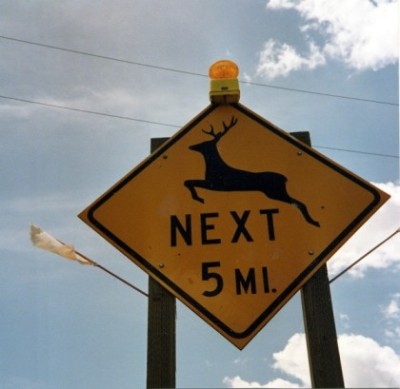 Original image