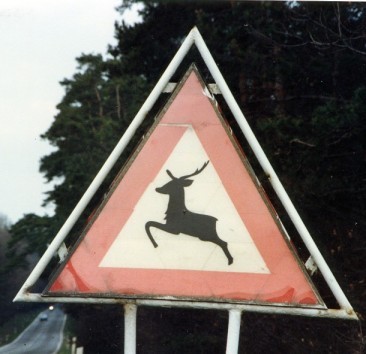 Original image