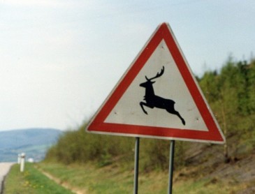 Original image