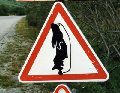 Original image
