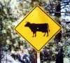 Betail2 Btail - Californie - USA