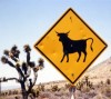 Betail3 Btail - Nevada - USA
