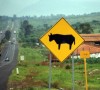 Betail4 Btail - Mexique