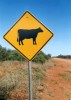 Betail5 Btail - Northern Territory - Australie