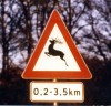 cerf3 Cerf - Danemark