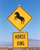 cheval1 Cheval - Nevada - USA