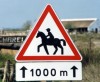 cheval5 Cheval - France
